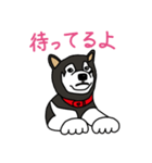 黒柴ムサシが行く（個別スタンプ：6）
