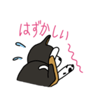 黒柴ムサシが行く（個別スタンプ：17）