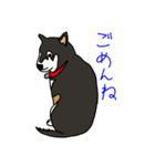 黒柴ムサシが行く（個別スタンプ：19）