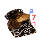 Nico_（個別スタンプ：2）