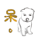 Lnk Languages 2 - Chinese(Traditional)（個別スタンプ：26）