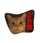 pressure（個別スタンプ：1）