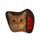 pressure（個別スタンプ：2）