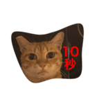 pressure（個別スタンプ：4）