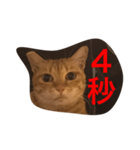 pressure（個別スタンプ：6）