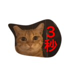 pressure（個別スタンプ：7）