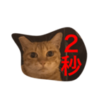 pressure（個別スタンプ：8）