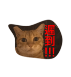 pressure（個別スタンプ：10）