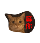 pressure（個別スタンプ：14）