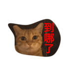 pressure（個別スタンプ：15）