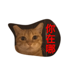 pressure（個別スタンプ：18）