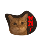 pressure（個別スタンプ：19）