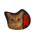 pressure（個別スタンプ：22）