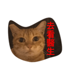 pressure（個別スタンプ：23）