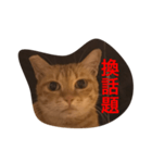 pressure（個別スタンプ：24）