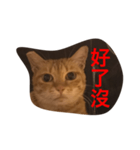 pressure（個別スタンプ：25）