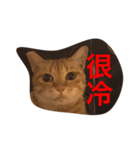 pressure（個別スタンプ：28）