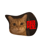pressure（個別スタンプ：32）