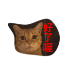 pressure（個別スタンプ：34）