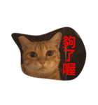 pressure（個別スタンプ：35）