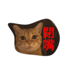 pressure（個別スタンプ：36）