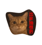 pressure（個別スタンプ：37）