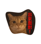 pressure（個別スタンプ：39）