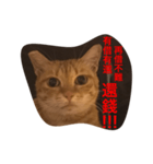 pressure（個別スタンプ：40）
