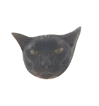 catizen（個別スタンプ：6）