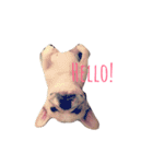Jam the Frenchie！（個別スタンプ：1）