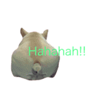 Jam the Frenchie！（個別スタンプ：13）