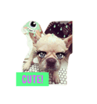 Jam the Frenchie！（個別スタンプ：15）