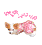 Natty ＆ Gapky（個別スタンプ：22）