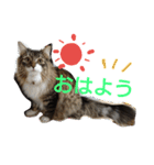 vikke（個別スタンプ：2）