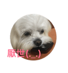 A CHIANG CHIANG（個別スタンプ：3）