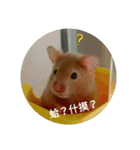 I Love Animal Friends（個別スタンプ：4）