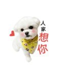 Dog Life 02（個別スタンプ：2）