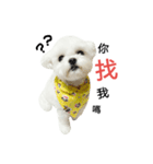 Dog Life 02（個別スタンプ：4）