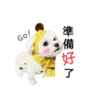 Dog Life 02（個別スタンプ：5）