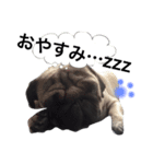 パグライフ*ライスくん2（個別スタンプ：5）