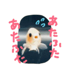 kingyokingyokingyo（個別スタンプ：8）