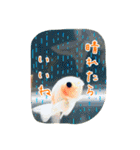 kingyokingyokingyo（個別スタンプ：11）
