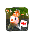 kingyokingyokingyo（個別スタンプ：29）