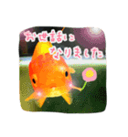 kingyokingyokingyo（個別スタンプ：34）