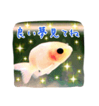 kingyokingyokingyo（個別スタンプ：38）