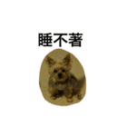 happyy ball（個別スタンプ：39）