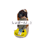 sistersss3（個別スタンプ：3）