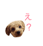 wow Happy dog（個別スタンプ：2）