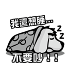 HEY！MY FRIEND（個別スタンプ：2）
