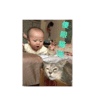 Life-threatening baby's life language 3（個別スタンプ：16）